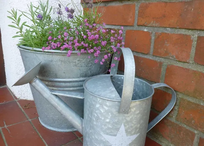 Ostseestrand نوستاد ان هولستن